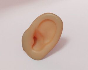 Human Ear